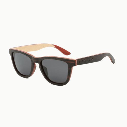 Clas Sunglasses Black Brown